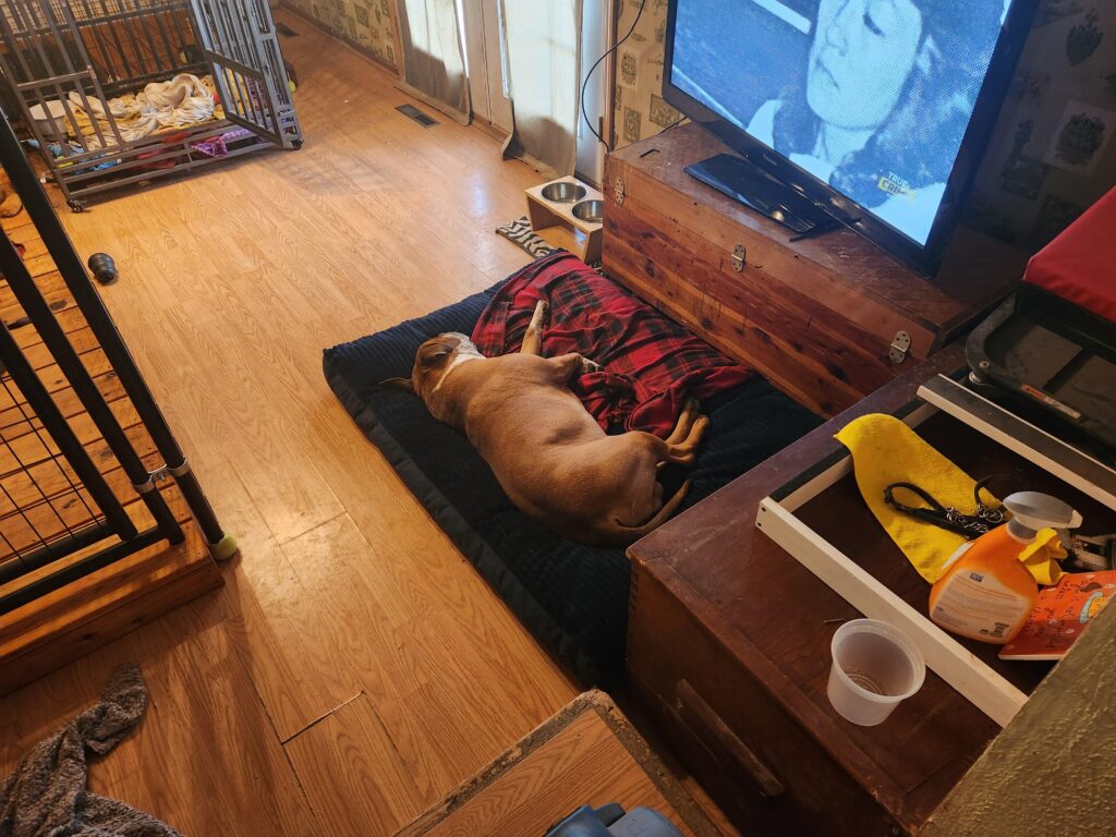 Image #1 from Casey Fluty