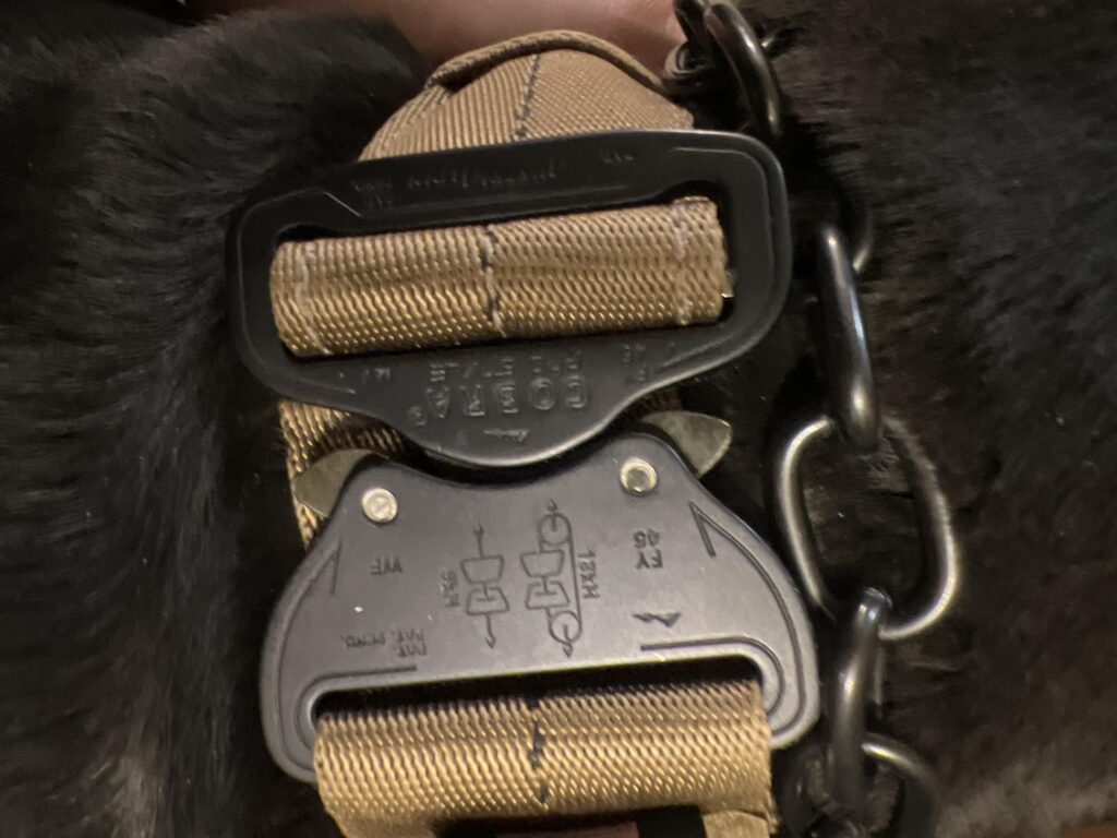 Image #3 from Carl Sarrazin