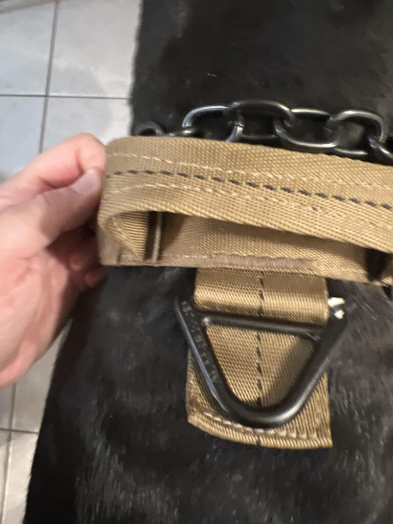 Image #5 from Carl Sarrazin