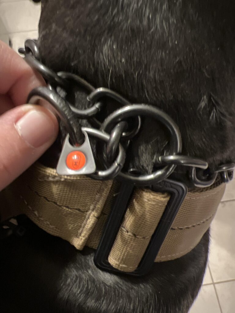 Image #1 from Carl Sarrazin