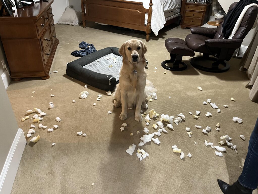 Image #1 from MMahoney