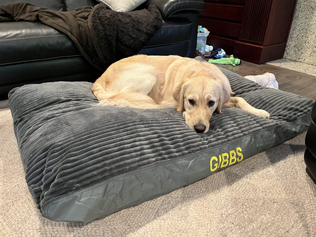 Image #2 from MMahoney