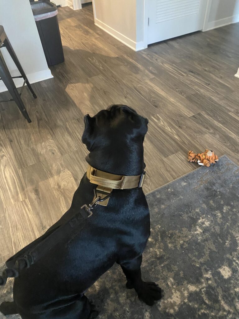 Image #1 from Anselmo Reyes