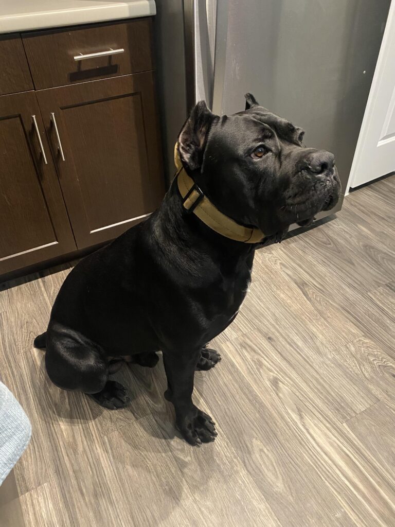 Image #2 from Anselmo Reyes