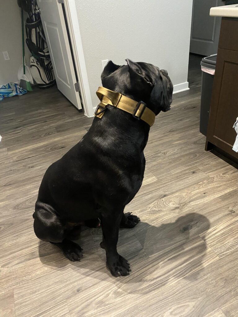 Image #3 from Anselmo Reyes