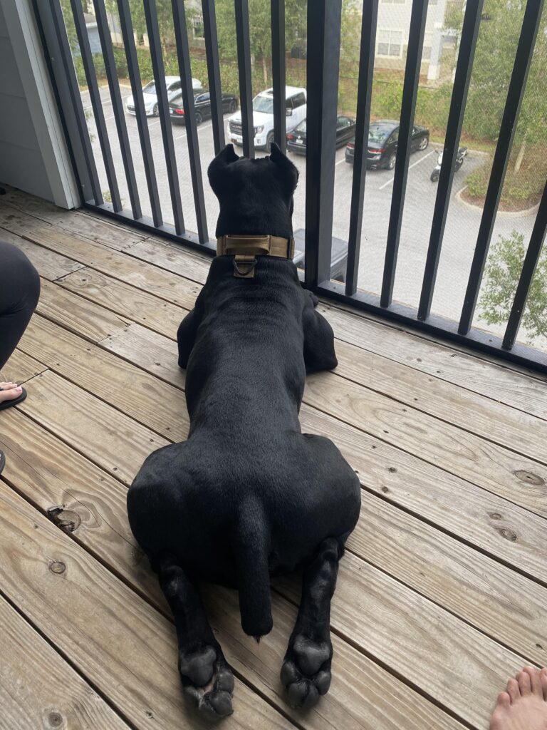 Image #4 from Anselmo Reyes