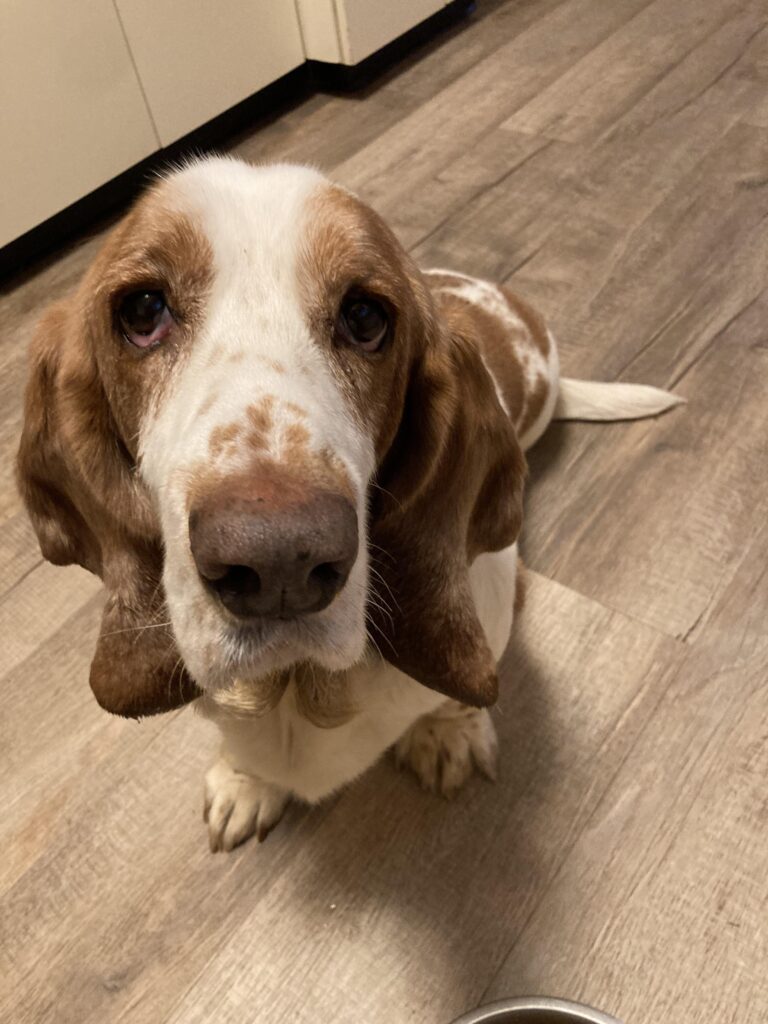 Image #1 from Sue Blomstrom