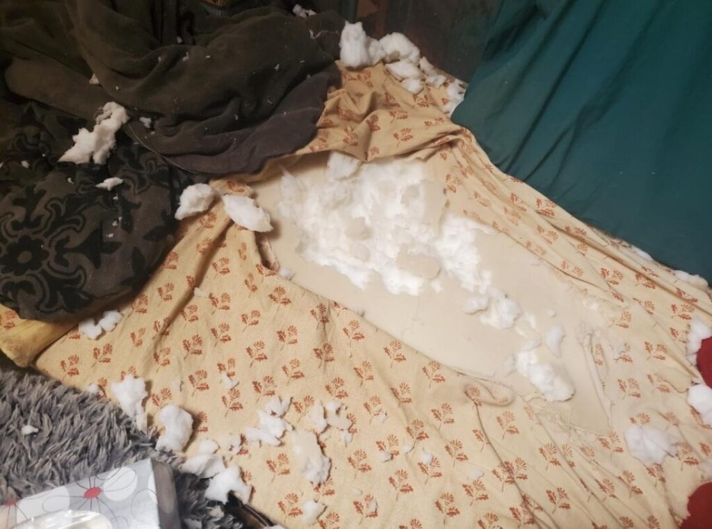 Image #1 from Annie Whitney