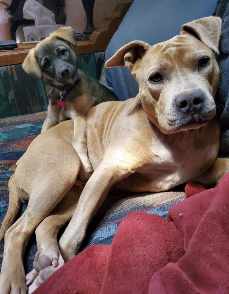 Image #2 from Annie Whitney