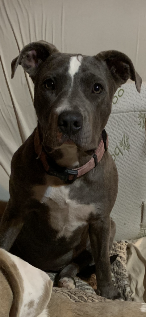 Image #1 from Michele Wilson