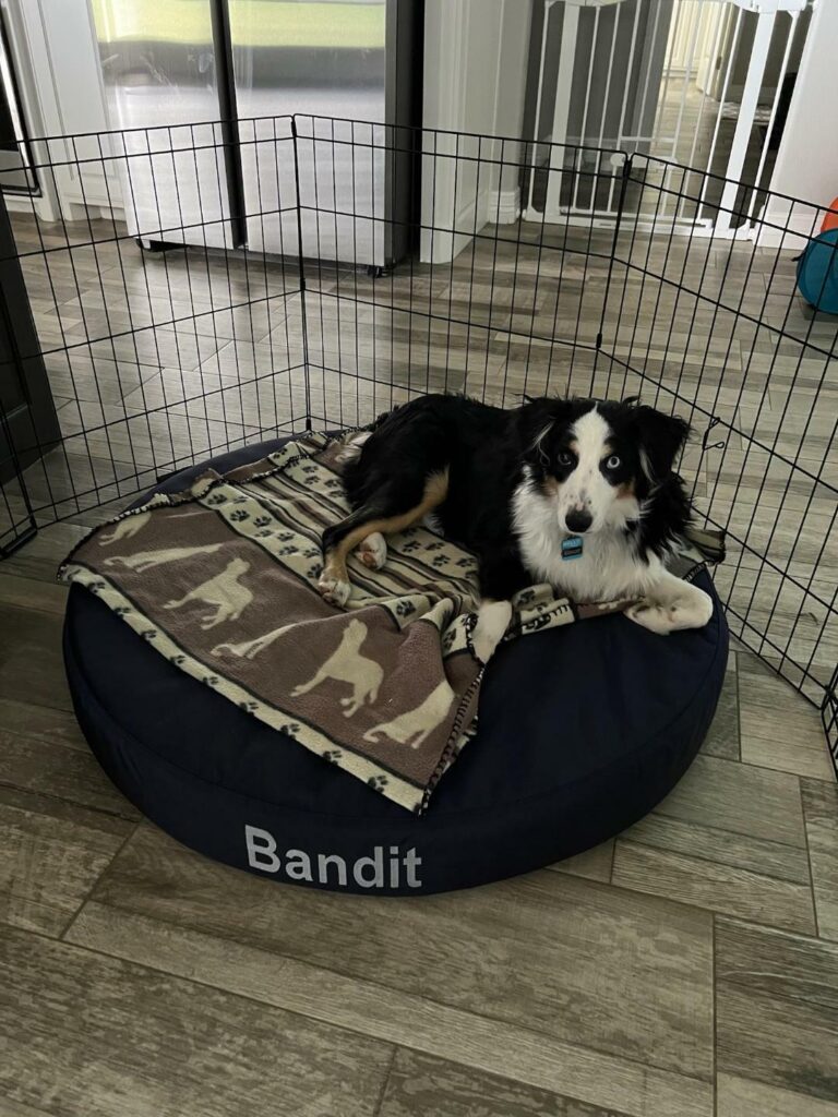 Image #1 from James Smythe