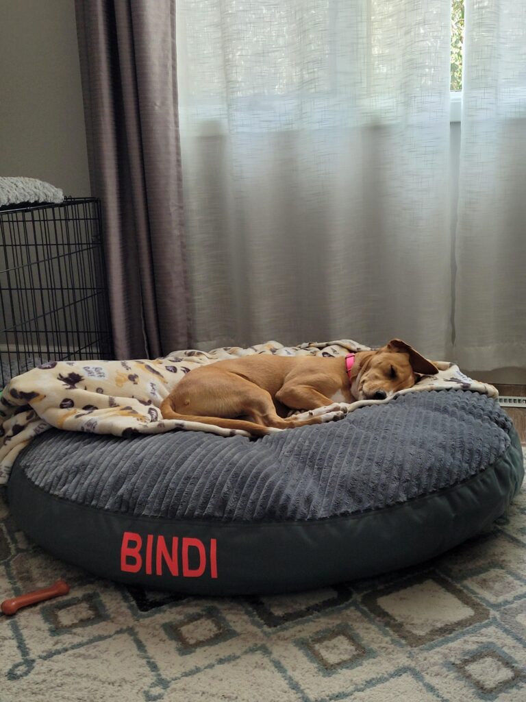 Image #1 from Erin Aishford