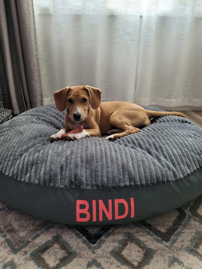 Image #2 from Erin Aishford