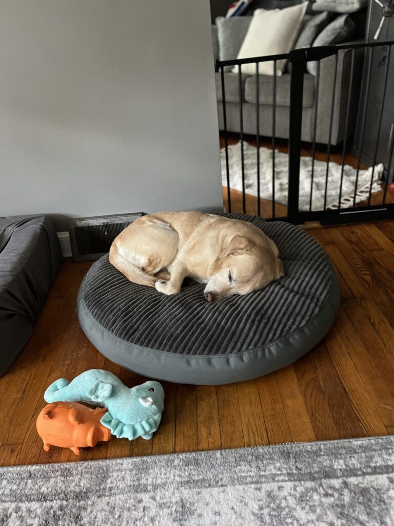 Image #1 from Kassy Falkner