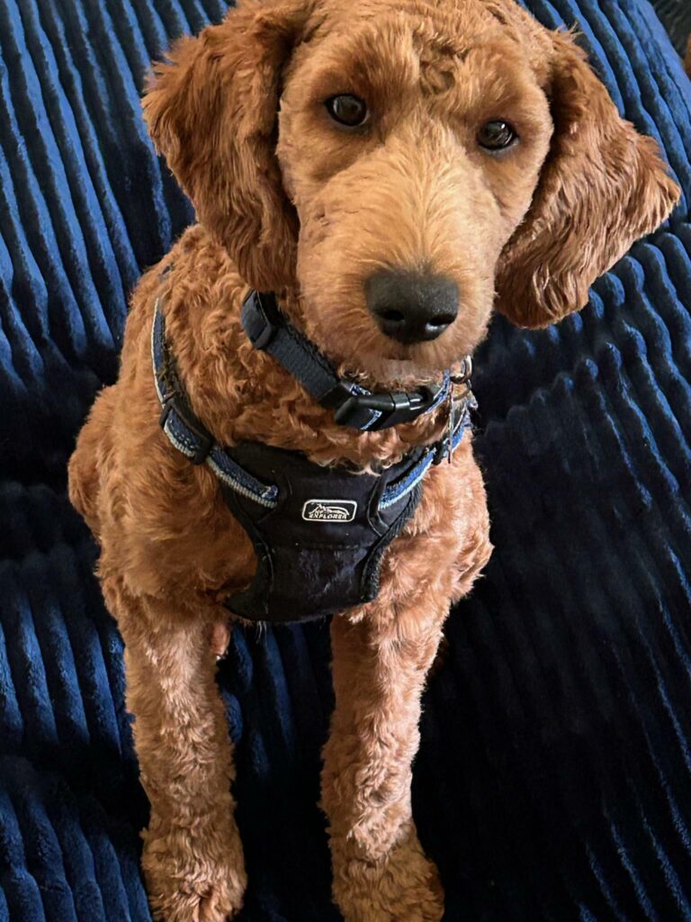 Image #1 from Jean Bystol