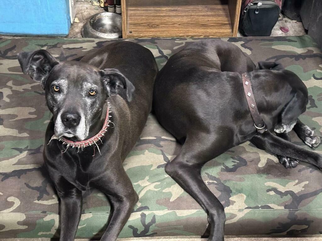 Image #1 from JOHN RHOADES