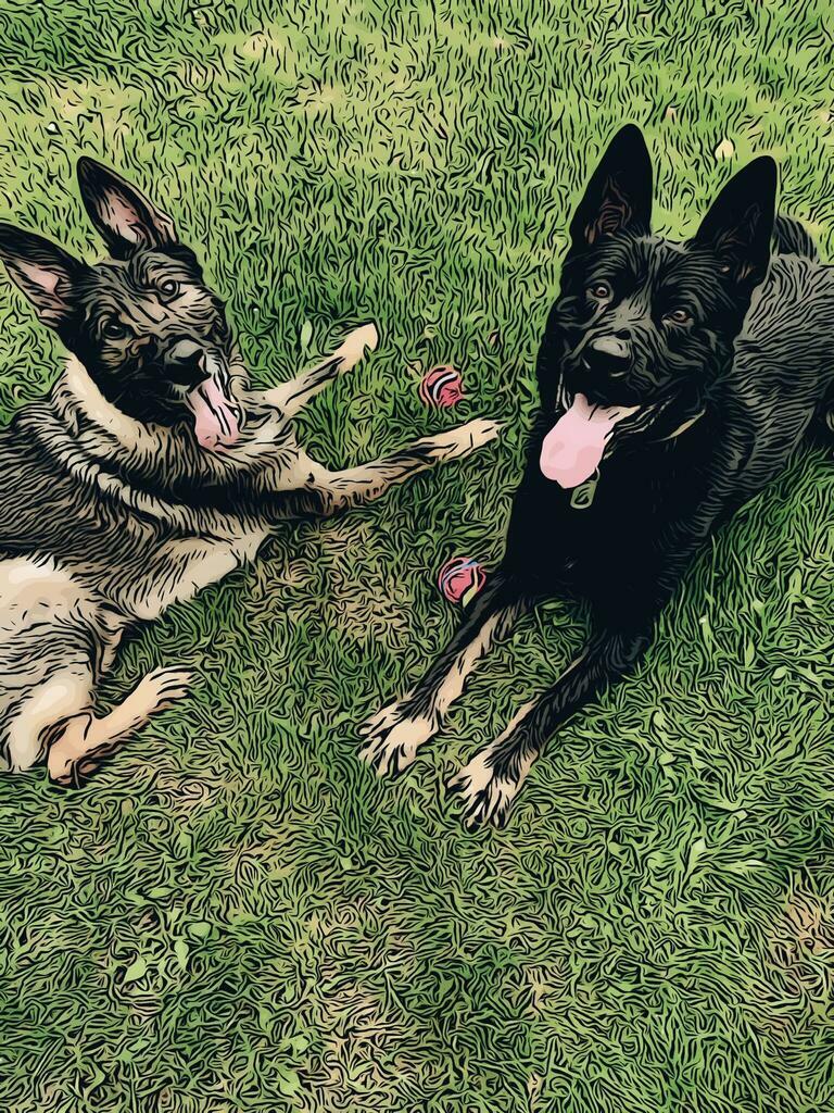 Image #1 from Brian Adams