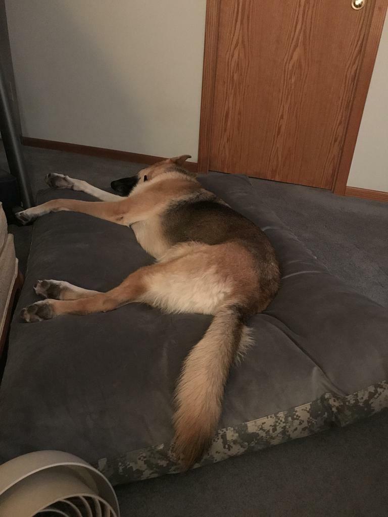 Image #1 from Pat Rogers