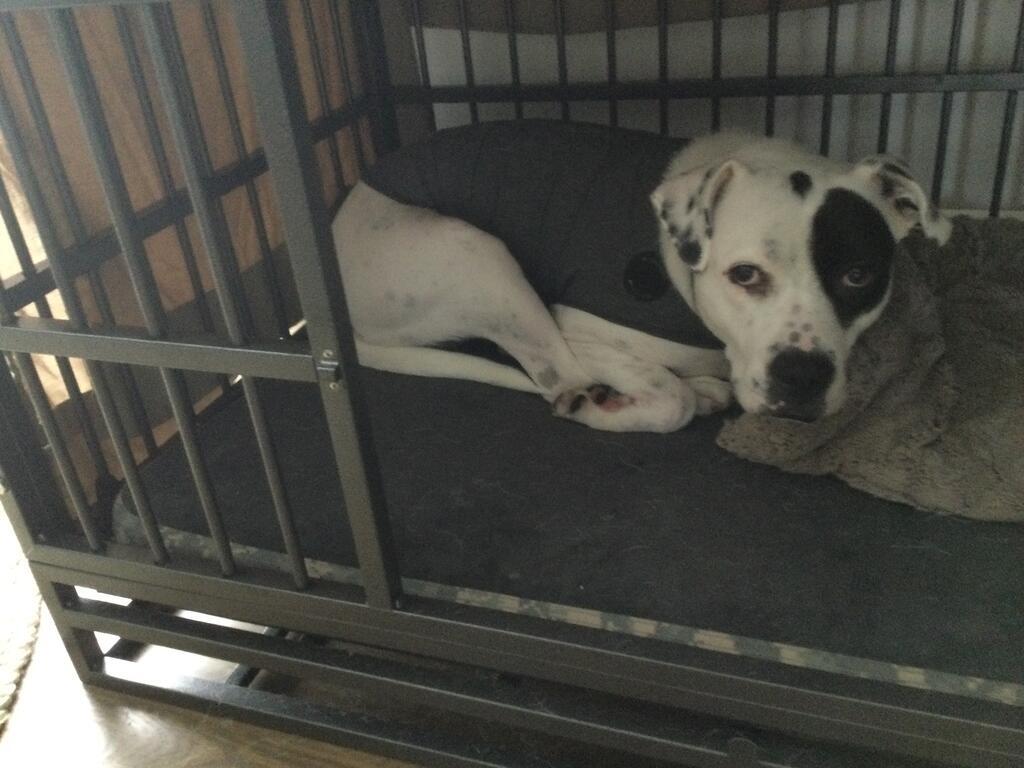 Image #1 from Lydia p.