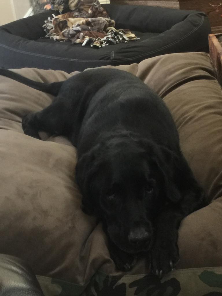 Image #1 from Shelly