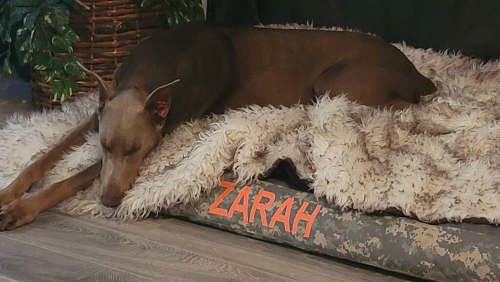 Image #1 from Misty Berry