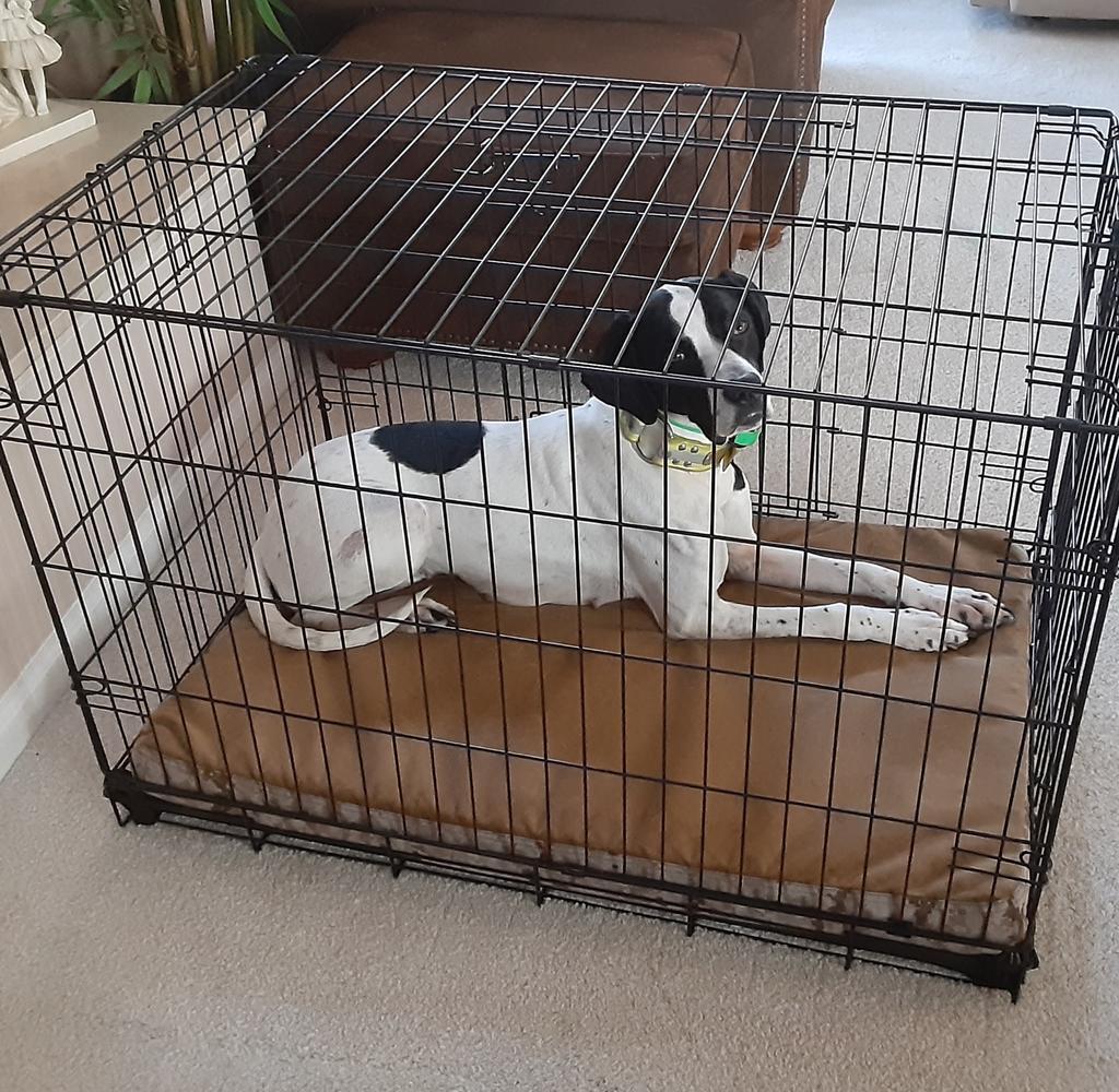 Image #2 from Larry Singer