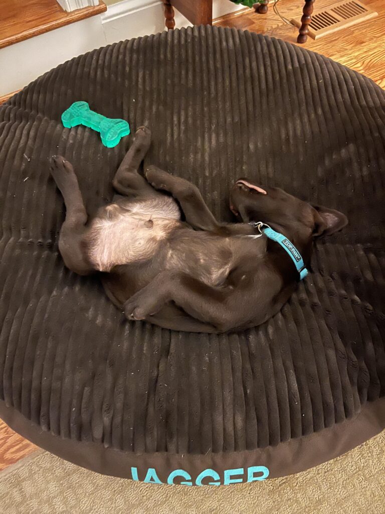 Image #1 from Sid Stone