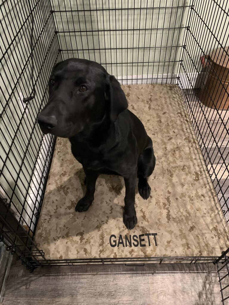 Image #1 from Brittany Jette