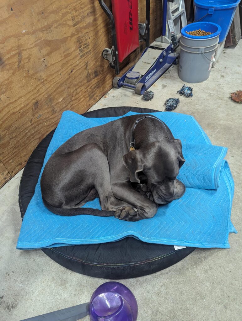 Image #1 from Mike Trumpp