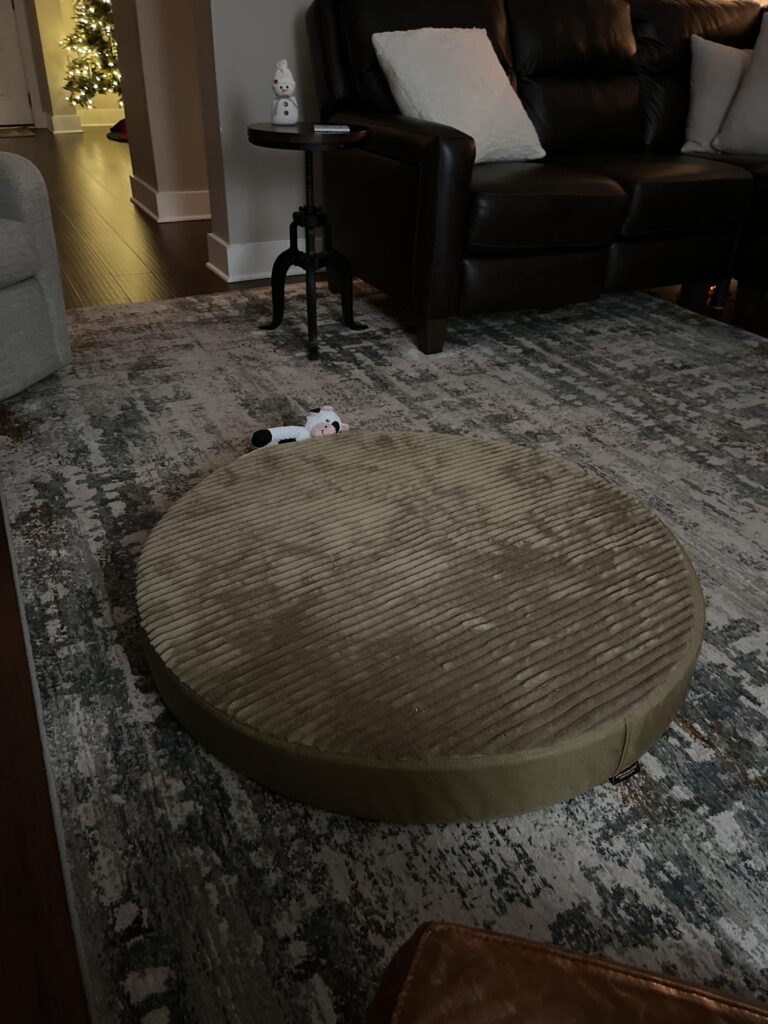 Image #1 from Cynthia Picou