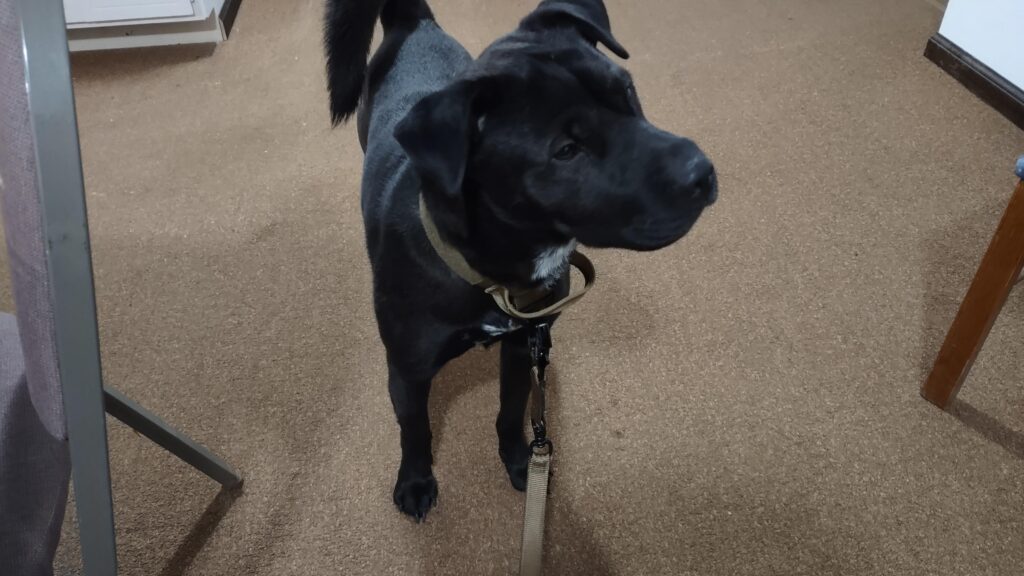 Image #1 from Scott Wheeler