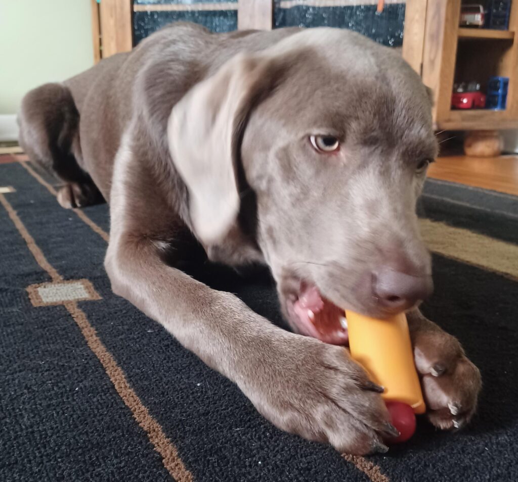 Image #2 from Nicole Steingraber