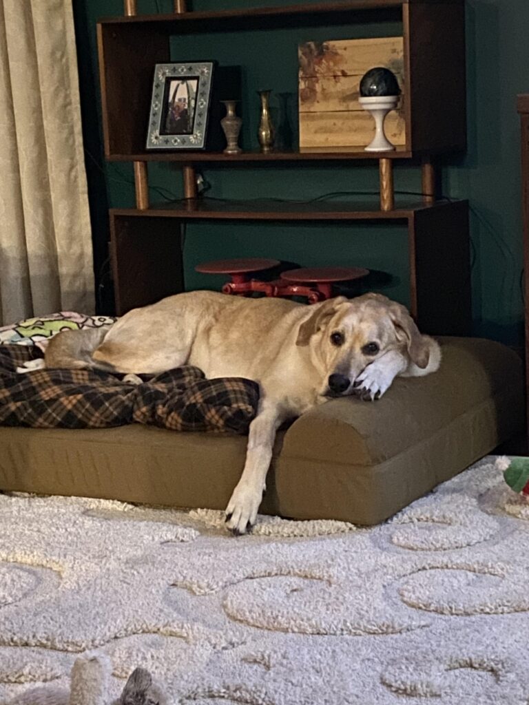 Image #1 from Michelle Maher