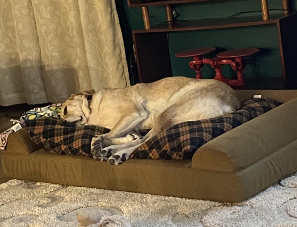 Image #2 from Michelle Maher