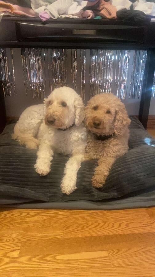 Image #1 from Jill Storch