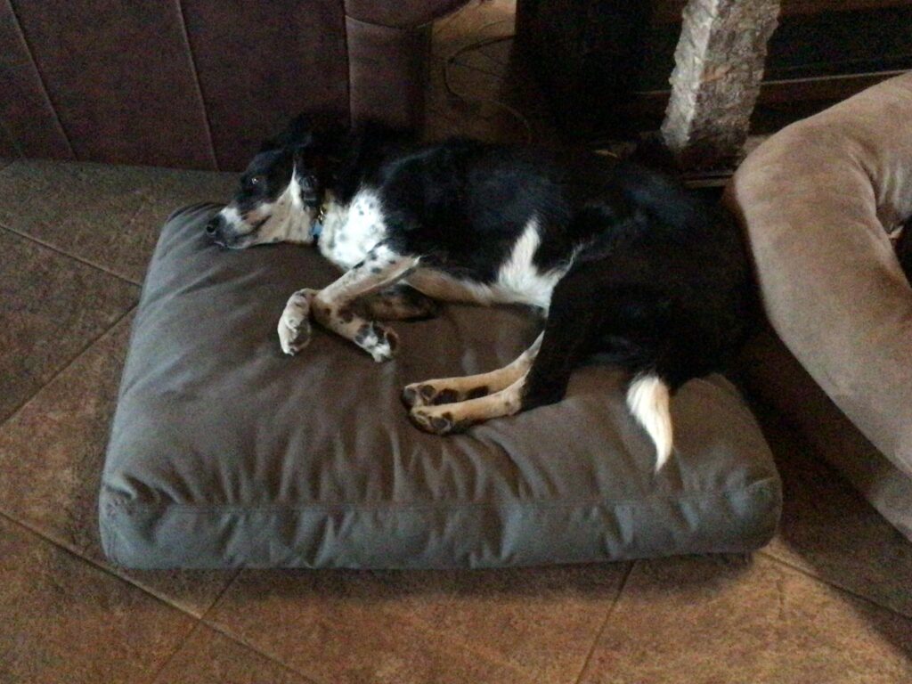 Image #1 from Terri Renwick