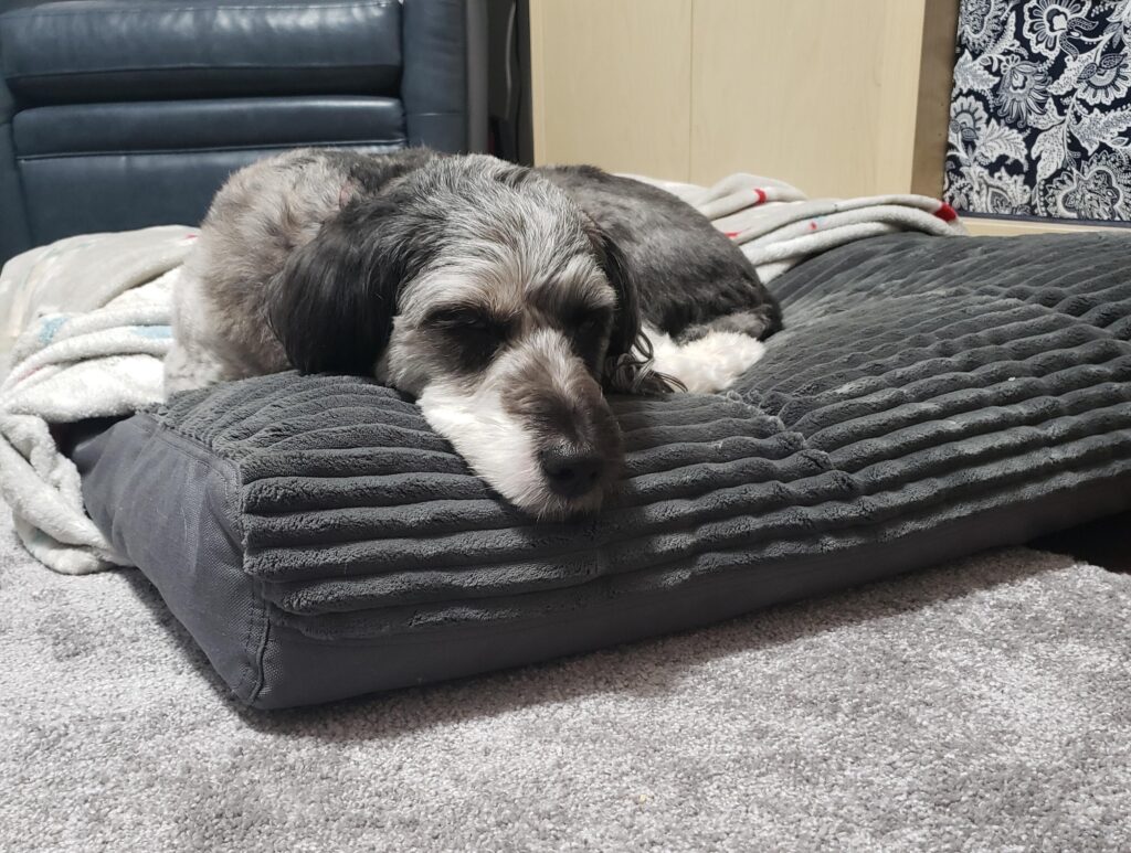 Image #1 from Jill Burton