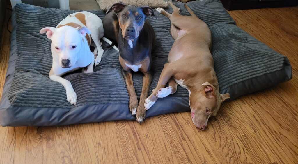 Image #1 from Holly Watt