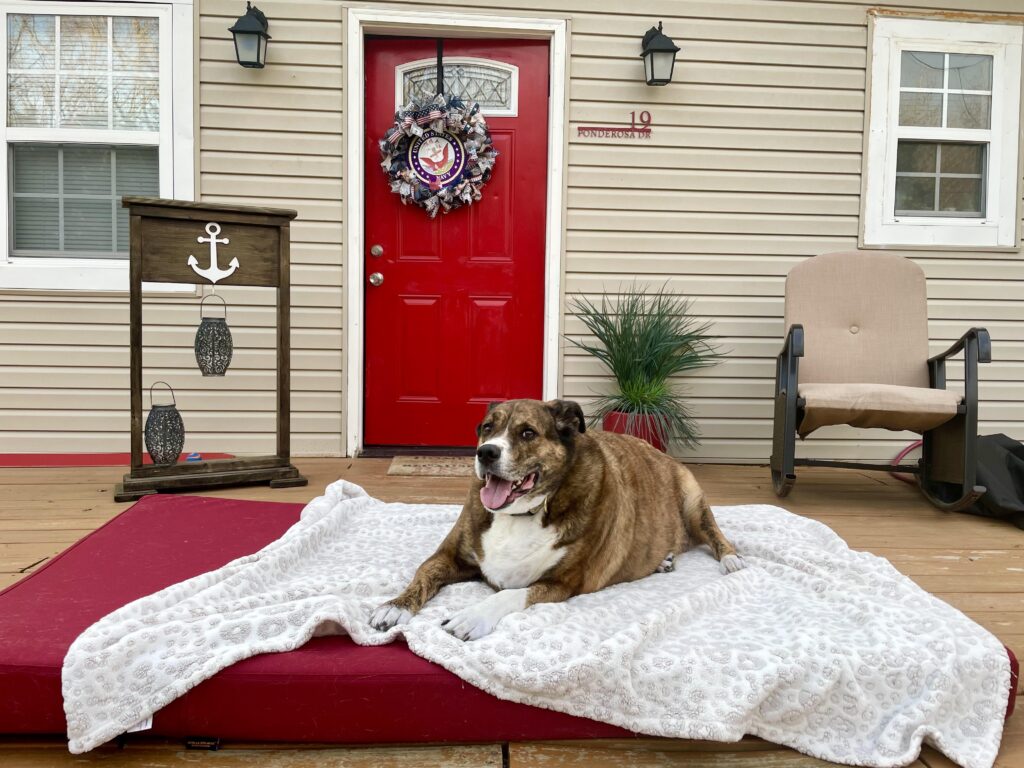 Image #1 from Lesa Lung