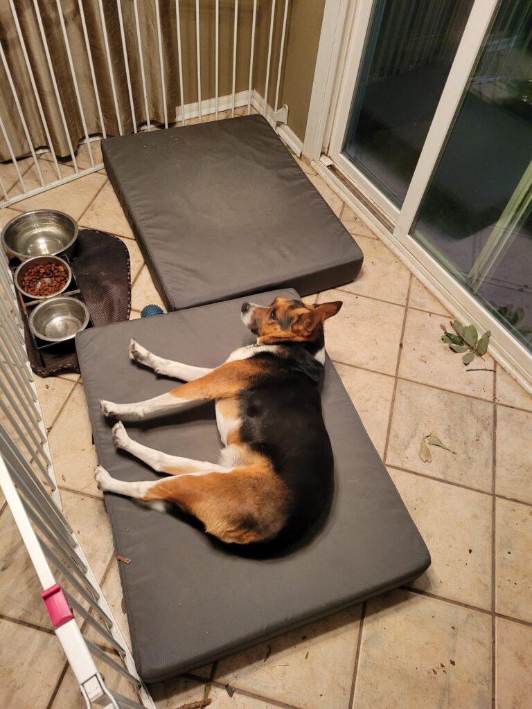 Image #1 from David Madau