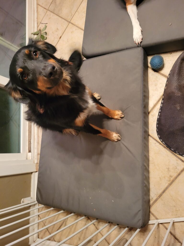 Image #2 from David Madau