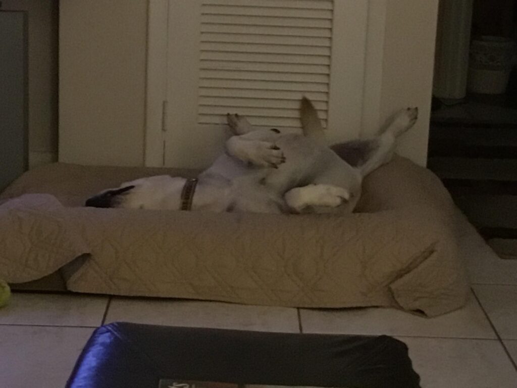 Image #1 from Linda Ross