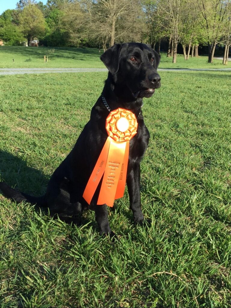 Image #1 from Mark Berger