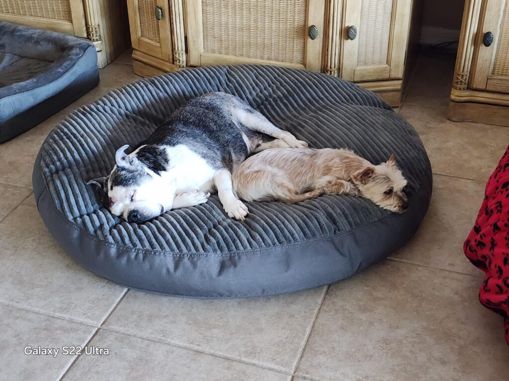 Image #1 from Eliza Wright