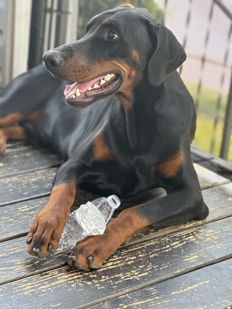 Image #1 from Caroline Smith