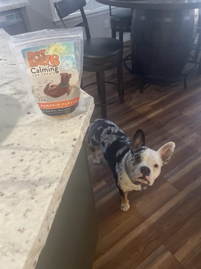 Image #1 from Jamie Evans