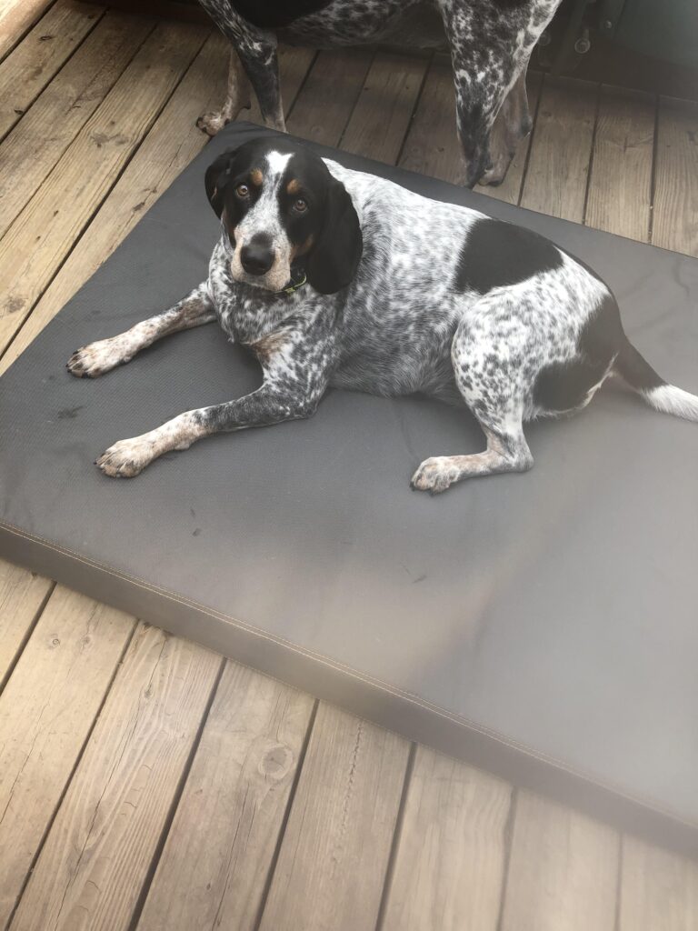 Image #1 from Cindy Horner