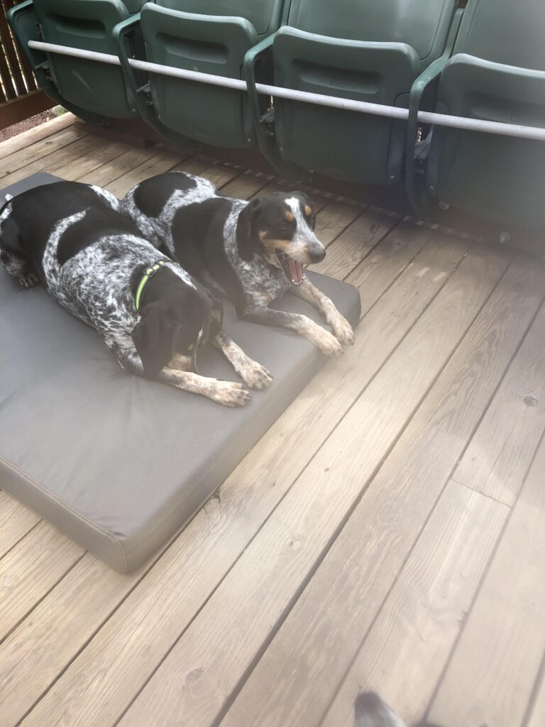 Image #2 from Cindy Horner