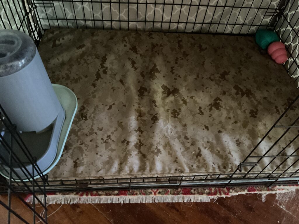 Image #1 from Mary Anderson