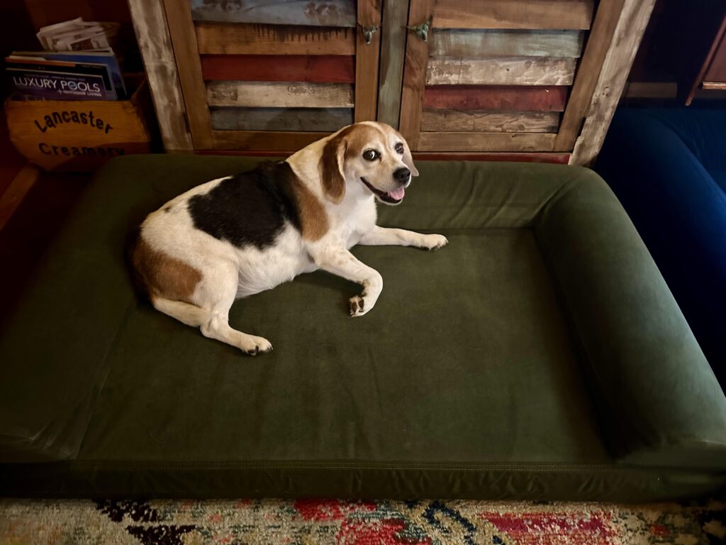 Image #1 from Rebecca Rust